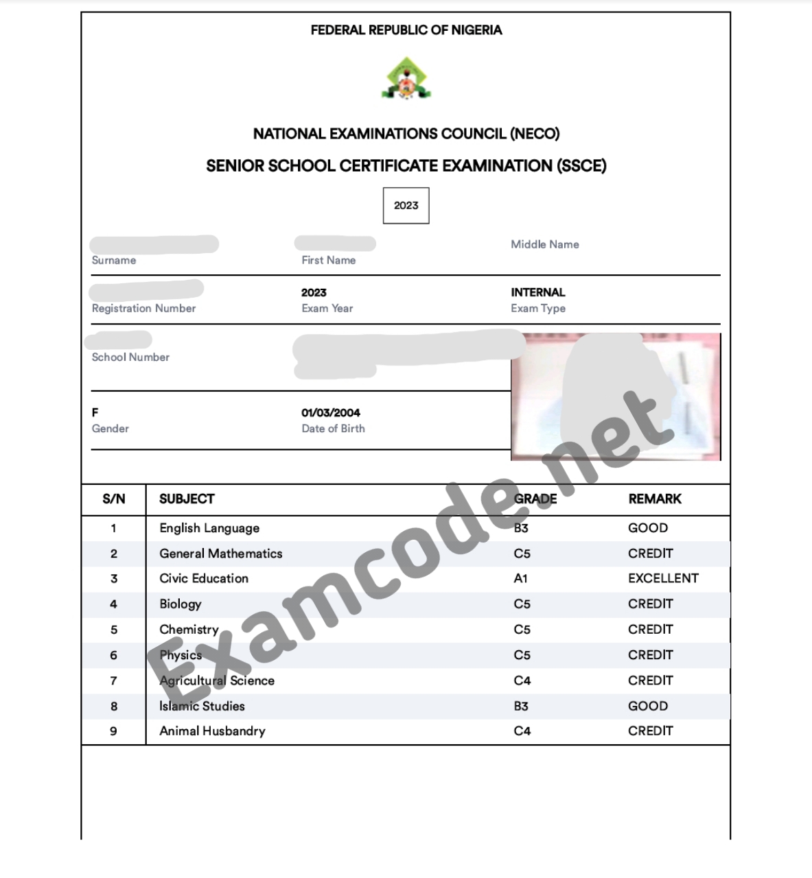 2026 neco runz 2026 neco expo 2026 neco runs 2026 neco answers 2026 neco questions and answers 2026 neco chokes 2026 neco runz 2026 neco expo 2026 neco runs 2026 neco answers 2026 neco questions and answers 2026 neco chokes